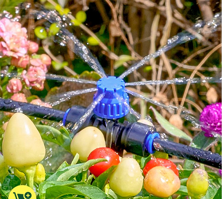 Drip Irrigation & Watering