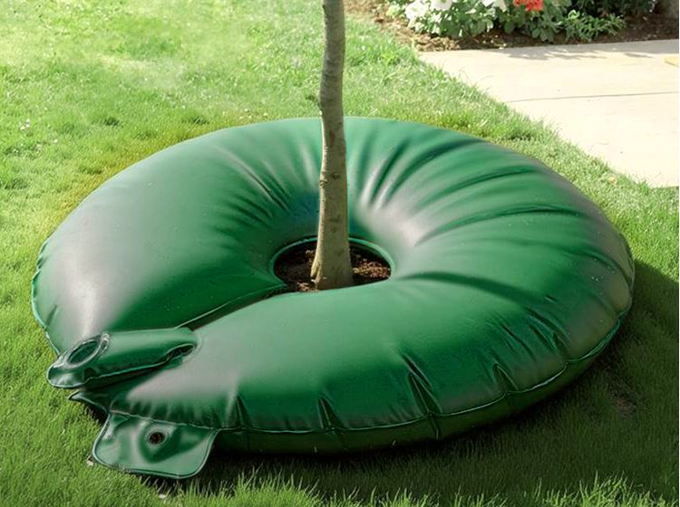 20 Gallon Slow-Release Tree Watering Bag, 2 Pack in use